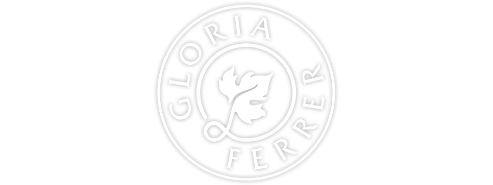 Gloria Ferrer Caves & Vineyards