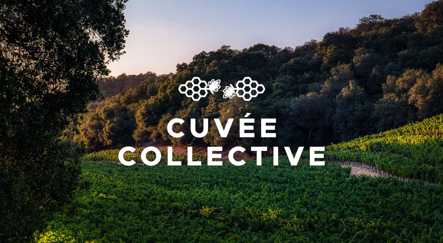 Press Preview Image: NFTs, crypto, metaverse: Why Califoria North Coast vintners are diving into Web3