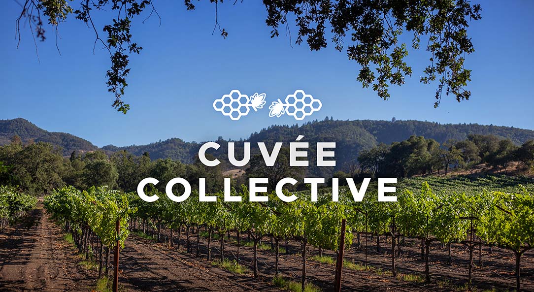 Press Preview Image: The World's First Wine NFT Club - Bringing Tech to the Wine Industry